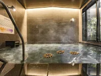 SUPER HOTEL Gifu Nakatsugawa Natural Hot Spring - Hot Springs