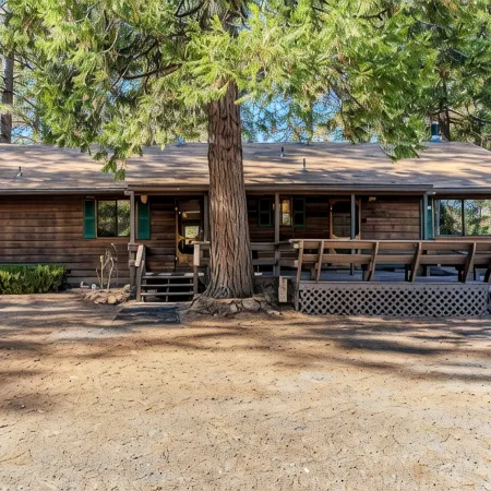 Family & Dog friendly Fenced 5Acr: Pool Table, Playground, Firepit, BBQ, Starlnk