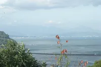 Manazuru Minshuku Oyadoaoisora