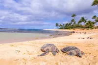2/2 BEACH FRONT RESORT-AC-Poipu Bch, Kiahuna-Garden View, Pool/Gym/Courts - 비치