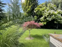 ROBINSON dream holiday apartment - modern&quiet -in the adventure & culture area - balcony