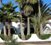 Luxury studio for beach lovers - apartment by the sea under palm trees - Beach
