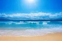 5 Min Walk - Golf Cart Included - Central Beach - House w Large Backyard & Pool - 4-Star