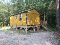 "Ulysses" tiny cabin on the creek at Waldbaden