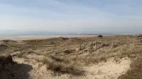 Studio in the dunes with small garden - 民泊