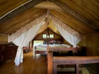 Chapi Dreamy Home - 4-Star