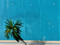 Hotel Belle VIE - Familien
