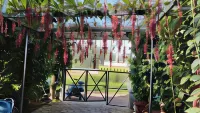 Cholai Resorts & Hotels