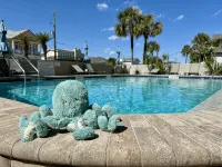 Oceanfront Penthouse Suite, 2 King Beds, Exquisite Beach Views, Newly Renovated - Private Pools