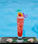 Pidoma Resort by EHM - bar
