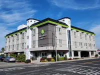 The Atrium Hotel - SFO Airport Free! - Shuttle Bus - Parking - Wifi