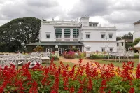 The Green Hotel