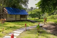The Forest Elephant - Formerly Known As the Flying Elephant - Homestays