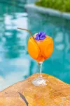 Villa Pantai Boutique Hotel Maragogi - Barer