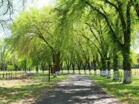 The Orchard Hotel Ukiah Wine Country Free Breakfast, Pool, & Hot Tub Hotels in Ukiah