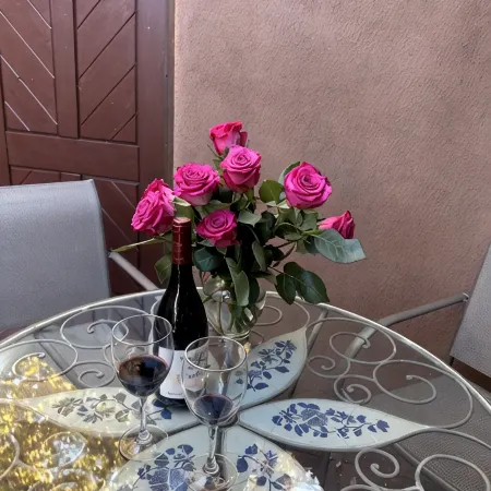 Beautiful Santa Fe downtown property walking distance to the Plaza