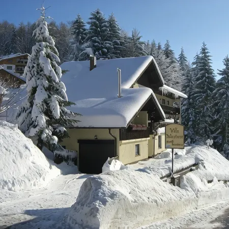 Montara Suites Bodenmais I Aktivcard Bayerischer Wald Inklusive
