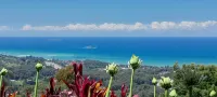 ON TOP OF THE WORLD Garden StudioPanoramic Ocean Views, Close to Town & Beaches - Wifi