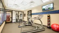 Hampton Inn & Suites Atlanta-Galleria - gimnasio