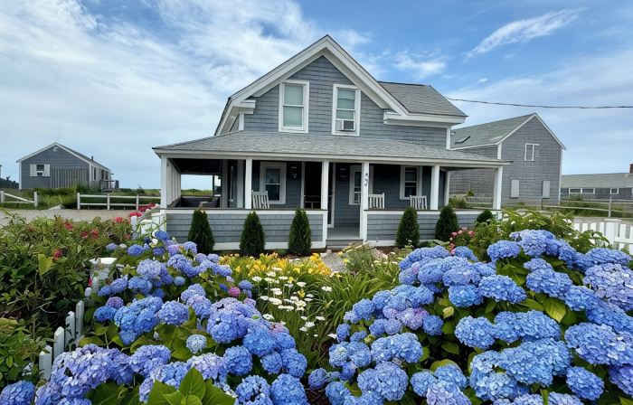 Beachfront on our private beach!  Driftwood Cottage - Pipers' Shore