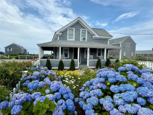 Beachfront on our private beach!  Driftwood Cottage - Pipers' Shore - Wi-Fi