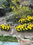 Bison Lodge For Quiet Contemplation, Modern Conveniences, AC/Wifi & Pets - Wi-Fi