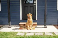 Pet & Family Friendly, Mountain Views, Downtown Montrose 20 Min to National Park - 4성급