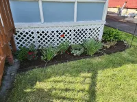 Best in the Bay!! 3B/1.5ba, Pet friendly Home - 4 stjerner