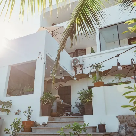 Casa Fenix