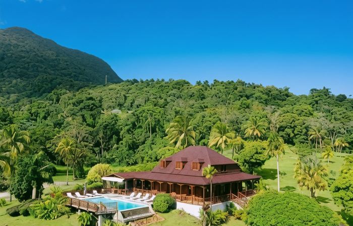 Jardin Malanga