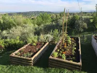 Appartement with pool, located between olive treees and wine rapes - مسبح