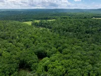 Secluded Cabin Retreat on 6 Acres w/ Fireplace, Trails, Creek & Record Player - WiFi