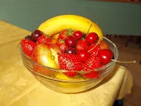 Hotel Holidays - servizio colazione