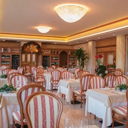 Palace Hotel Legnano