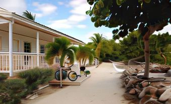 a beach house surrounded by palm trees , with a hammock hanging between two trees in the yard at Paradise Villas