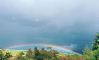 a rainbow is visible in the sky above a green forest with purple flowers and leaves at Elmrock Inn