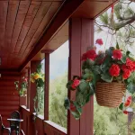 Alpine Inn Hotels in Pagosa Springs