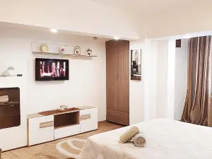 Casa Nicolae