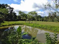 Coorg Relax Home Hotels in Mekeri