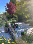 Wild Honey Inn Hotels in Clare