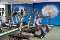 SpringHill Suites Corpus Christi