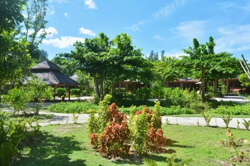 Heliconia Grove