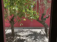 Villa Magnolia Hotels near CIRAD