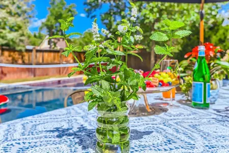 Stunning Family-Friendly Home with Pool! 10-Min to CU Campus & Downtown Отели рядом с достопримечательностью «Boulder Museum of Contemporary Art»