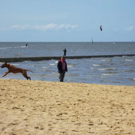 Vacation home North Sea, m. Dog / child -Cuxhaven- Sahlenburg umz. Garden, sandy beach