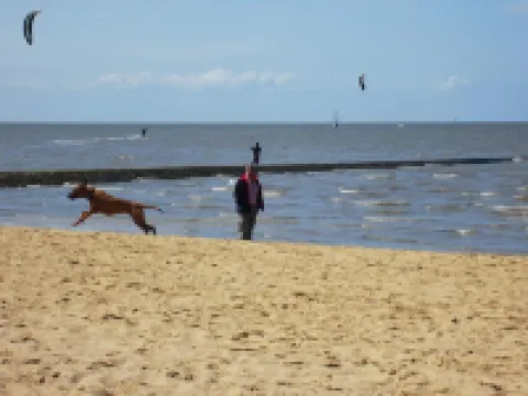 Vacation home North Sea, m. Dog / child -Cuxhaven- Sahlenburg umz. Garden, sandy beach