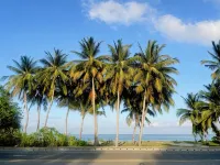 Calm Beach Inn Hotels in Gan