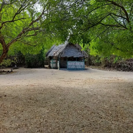 Mida Creek Eco Camp - Eco Lodge