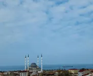 فندق ألميركان