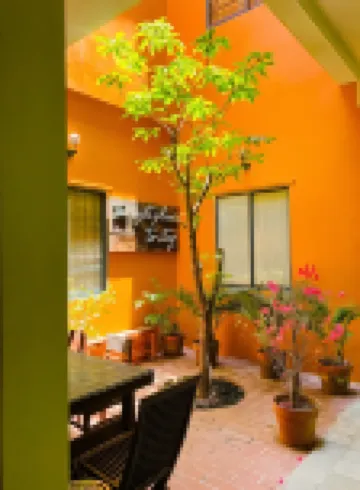 Chi Hieu Homestay